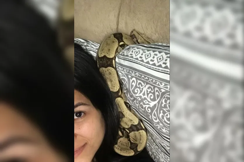  A empresária maringaense Paola Maciel e “Escobar”, sua jiboia de estimação. 