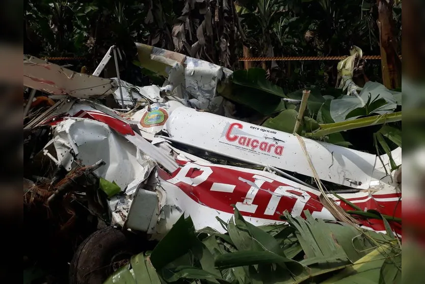 Avião cai no interior de São Paulo e piloto morre