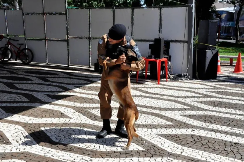 Canil da PM participa de evento em Jandaia do Sul