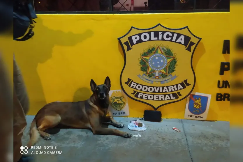 Cão Nino encontra maconha na mala de passageira de ônibus