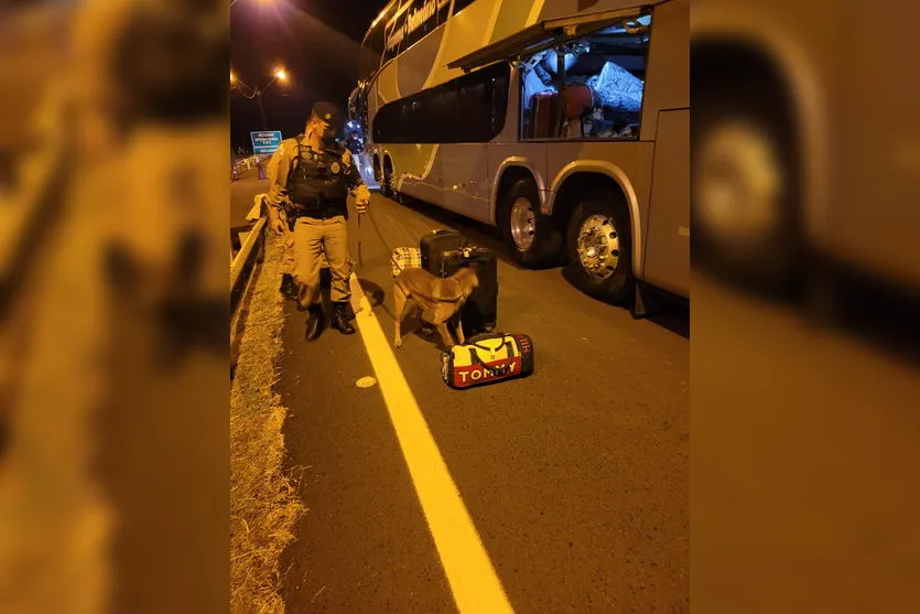 Cão Nino encontra maconha na mala de passageira de ônibus