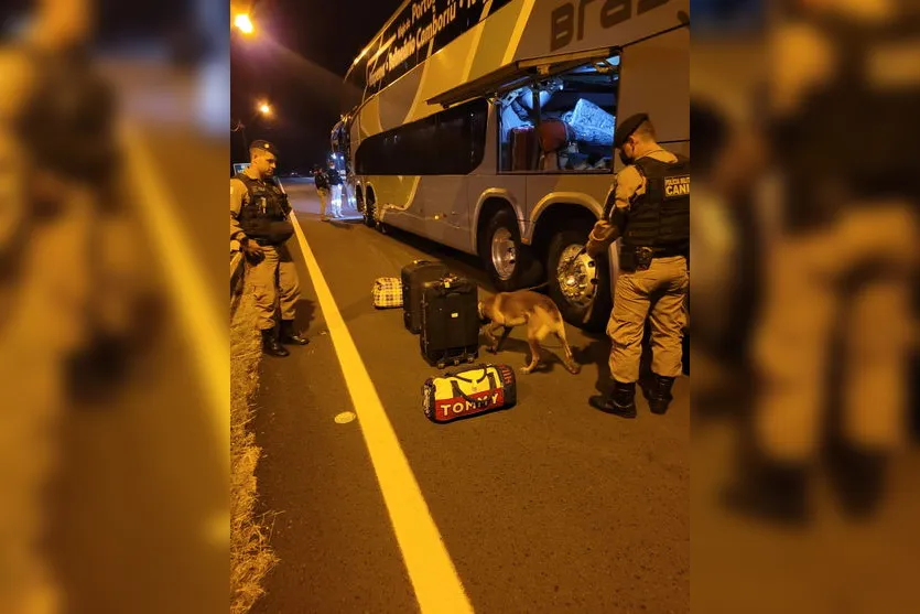 Cão Nino encontra maconha na mala de passageira de ônibus