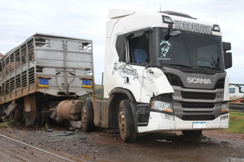 Carreta carregada com porcos é atingida por trem em Cambira