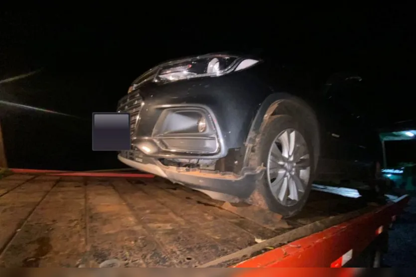 Cavalo morre atropelado por dois carros na PR-537