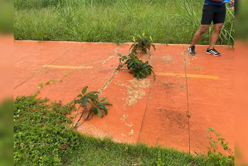 Ciclista sofre amnésia após cair em ciclovia de Arapongas