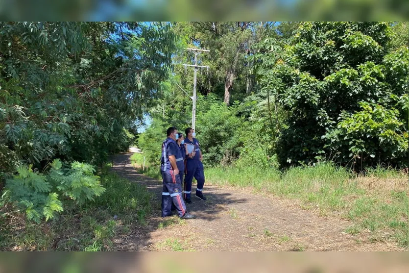 Desaparecido é encontrado morto em Apucarana