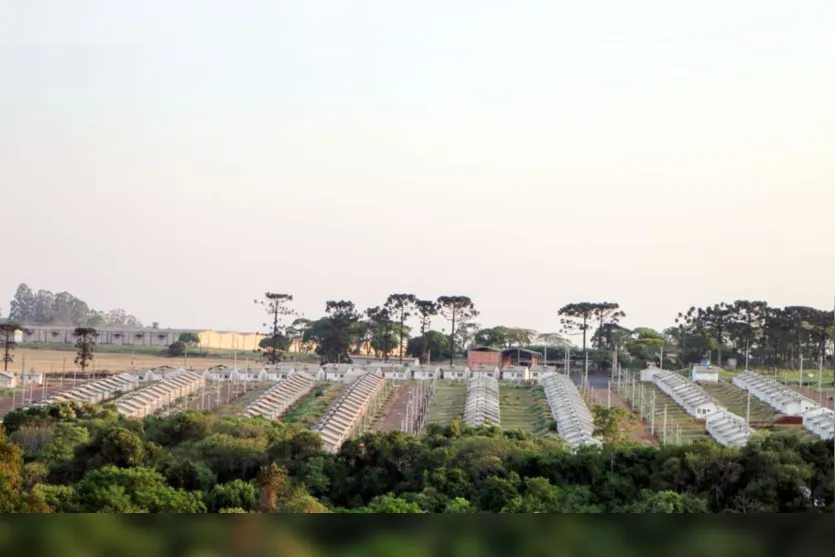 Mais de 2,4 mil famílias se inscrevem para casas do Fariz Gebrim