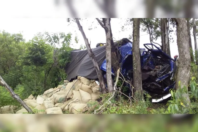 Motorista morre após bater caminhão contra árvores
