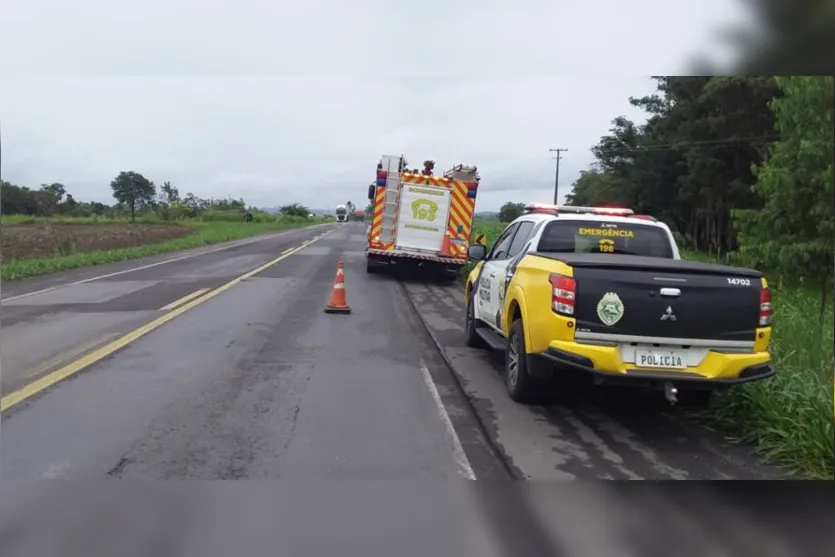 Motorista morre após bater caminhão contra árvores