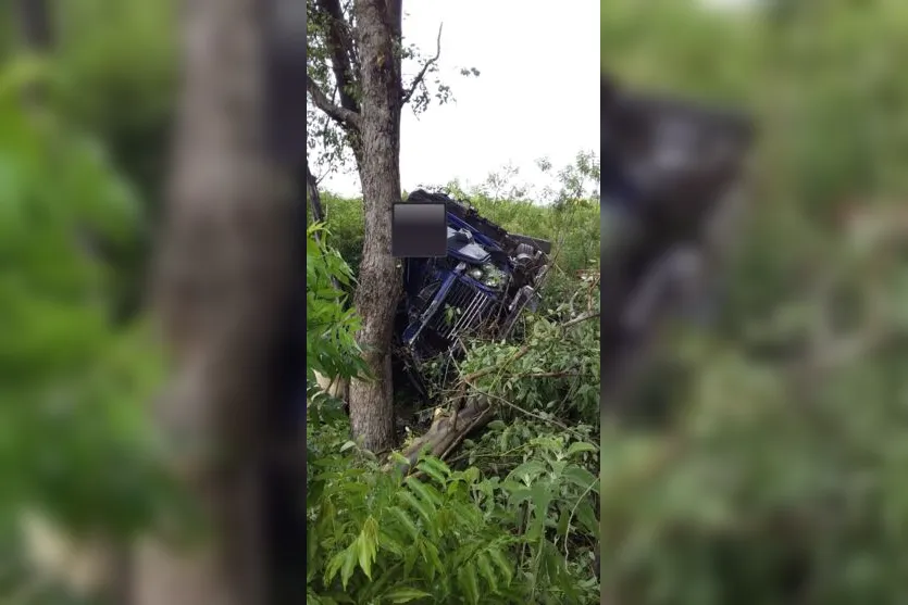 Motorista morre após bater caminhão contra árvores