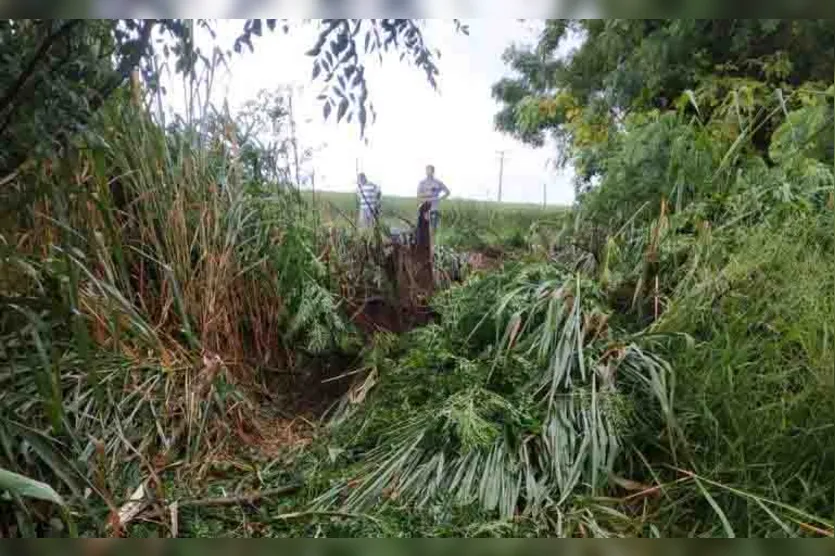 Motorista morre após colidir contra duas árvores na PR-170