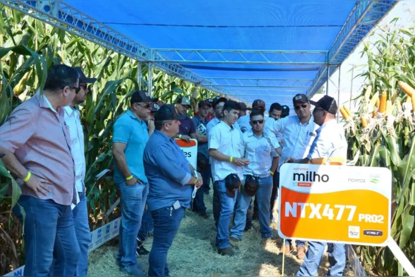 Nortox Intel Agro reúne consultores do PR, MS e Paraguai