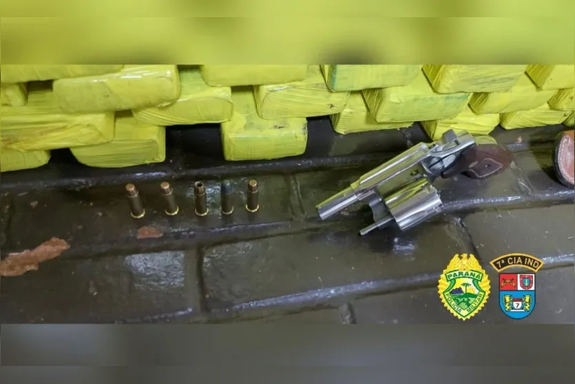 PM de Arapongas apreende mais de 230 Kg de maconha