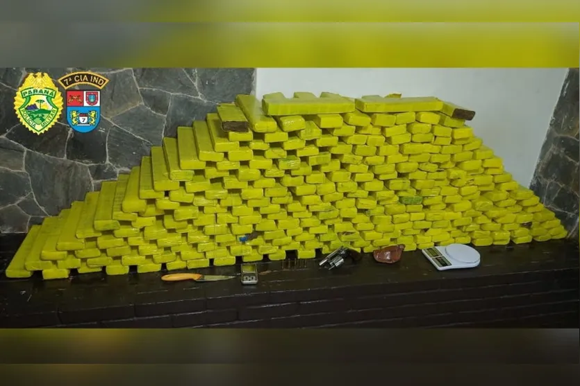 PM de Arapongas apreende mais de 230 Kg de maconha