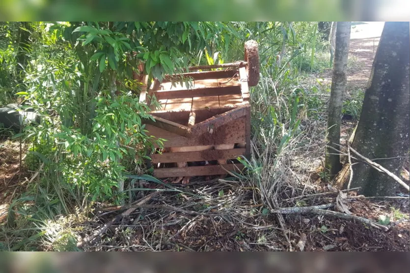 Polícia Ambiental prende três por caça e maus tratos a cães