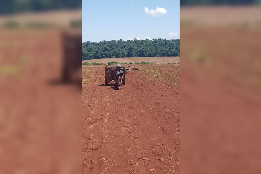 Polícia Ambiental prende três por caça e maus tratos a cães