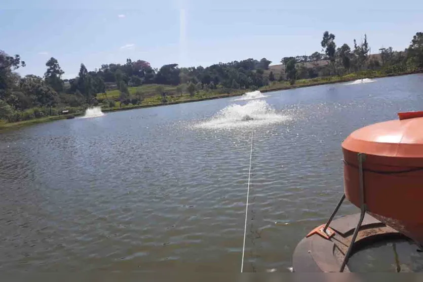 Técnicos da Cocari apresentam cultivo de peixes em J. Alegre