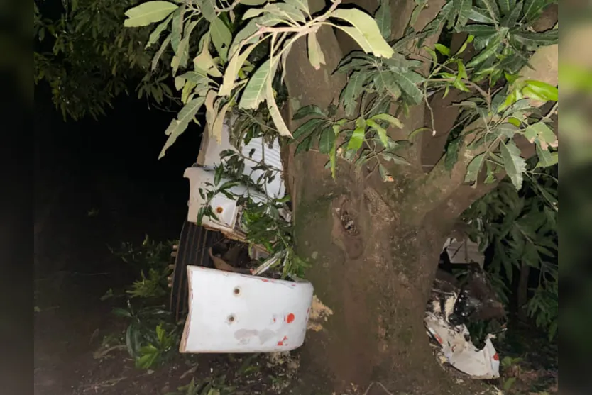  Ainda não há informações sobre o que teria levado o caminhoneiro a perder o controle da direção do veículo 