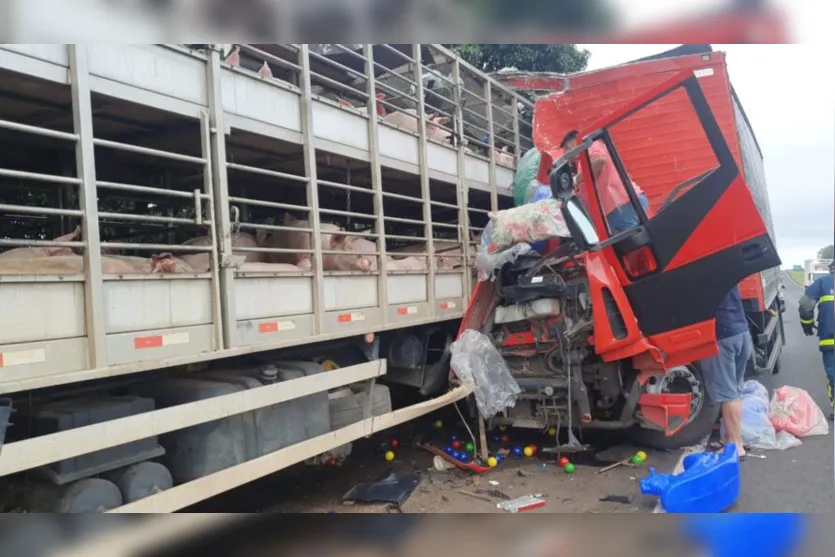 BR-376: caminhão carregado com porcos se envolve em acidente