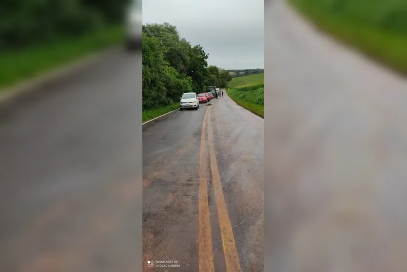 Caminhão carregado com frango tomba entre Rio Bom e Marilândia do Sul