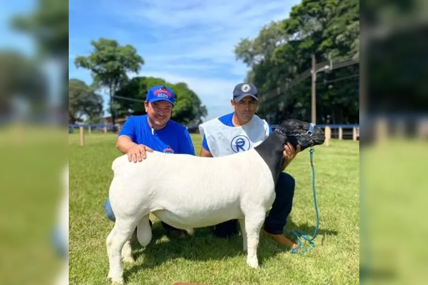 Criador de Apucarana tem animais premiados na Expolondrina