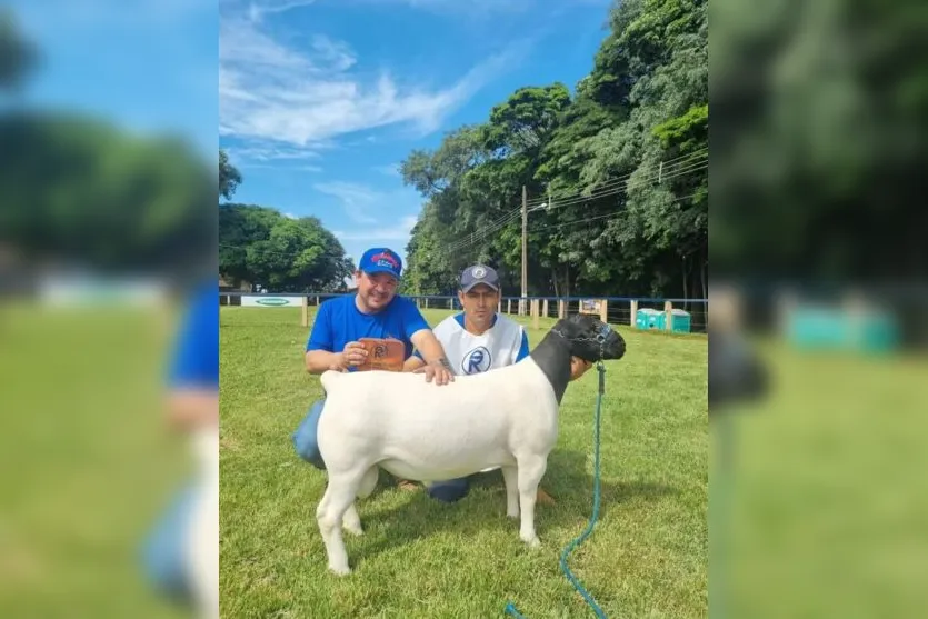 Criador de Apucarana tem animais premiados na Expolondrina