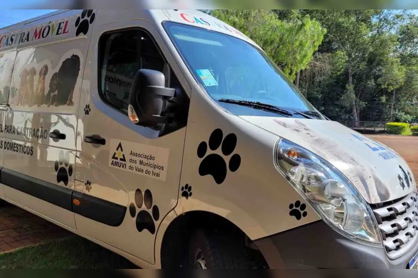 Ivaiporã promove mutirão e castra 130 cães e gatos em duas semanas