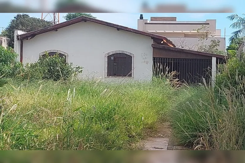 Mato alto de terreno em Apucarana preocupa vizinhos