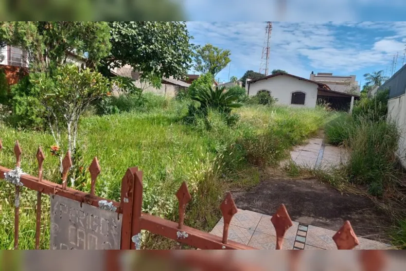 Mato alto de terreno em Apucarana preocupa vizinhos