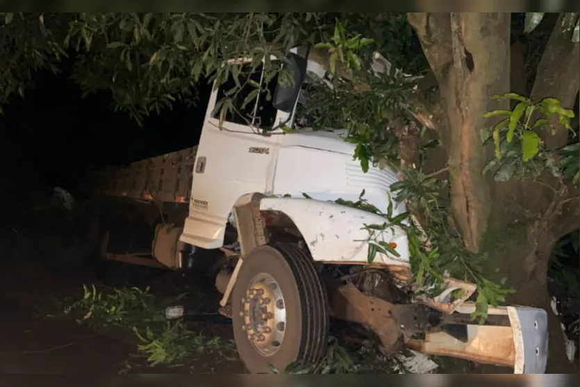 Motorista fica ferido gravemente em colisão contra árvore na PR-082
