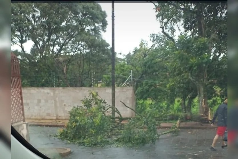  Núcleo Habitacional Castelo Branco, em Apucarana 