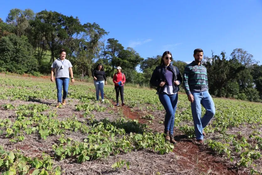 Próximo domingo tem a 7ª  Caminhada na Natureza em Ivaiporã