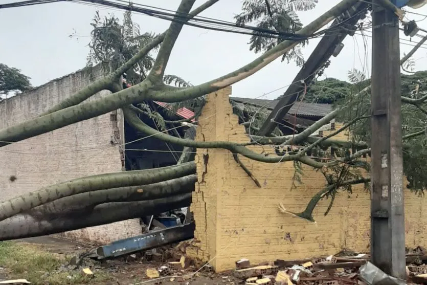 Temporais deixam mais de 1,2 mil casas destelhadas no Paraná