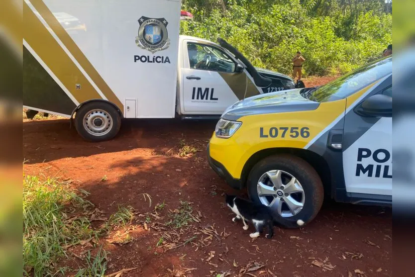 Urgente: Ossada humana é encontrada em Apucarana