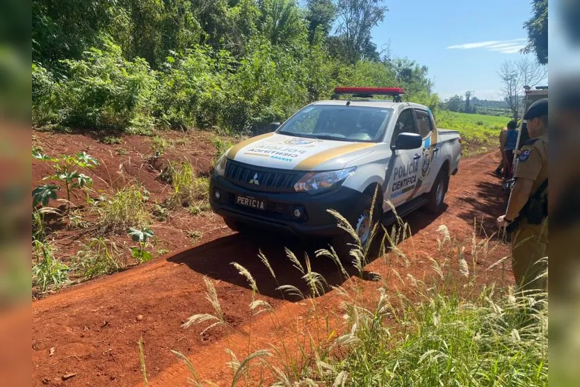 Urgente: Ossada humana é encontrada em Apucarana