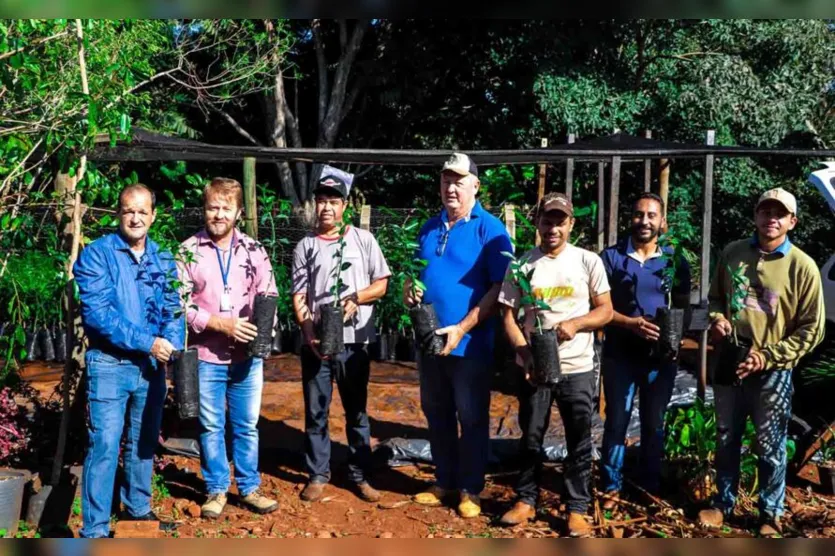 Agricultores de Jardim Alegre recebem 2 mil mudas de citros