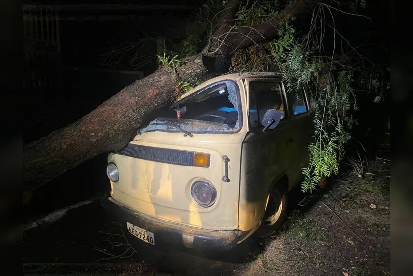 Após vendaval, árvore cai em Kombi no Jardim Eldorado; vídeo