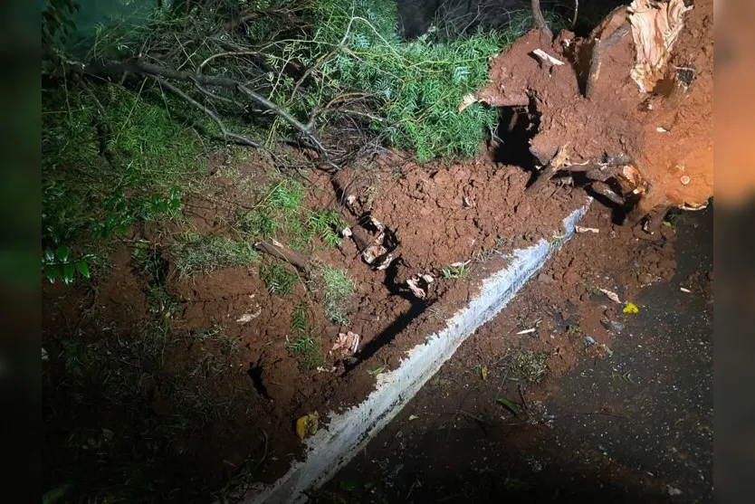 Após vendaval, árvore cai em Kombi no Jardim Eldorado; vídeo