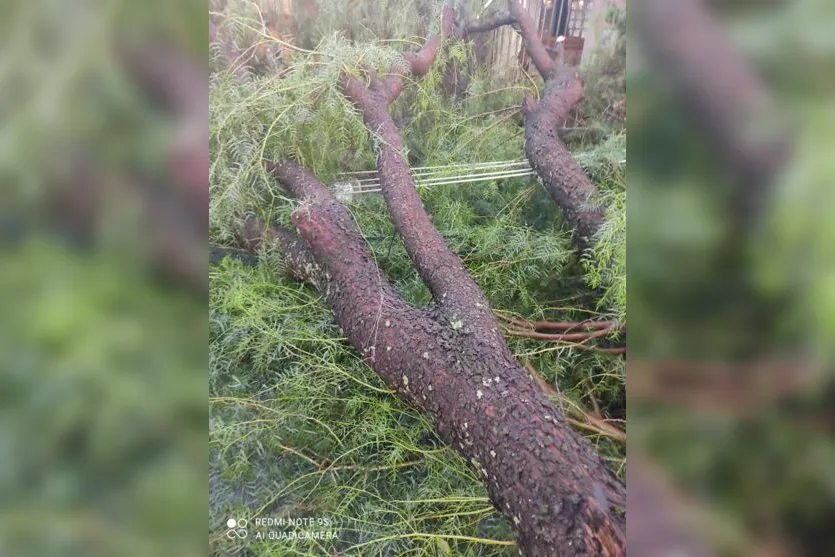 Chuva provoca destelhamentos e queda de árvores em Apucarana