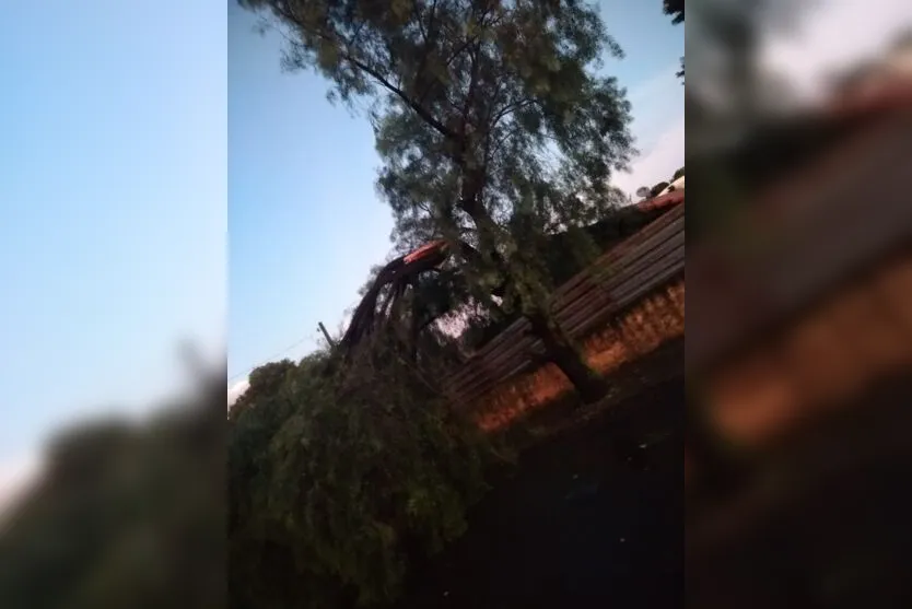 Chuva provoca destelhamentos e queda de árvores em Apucarana