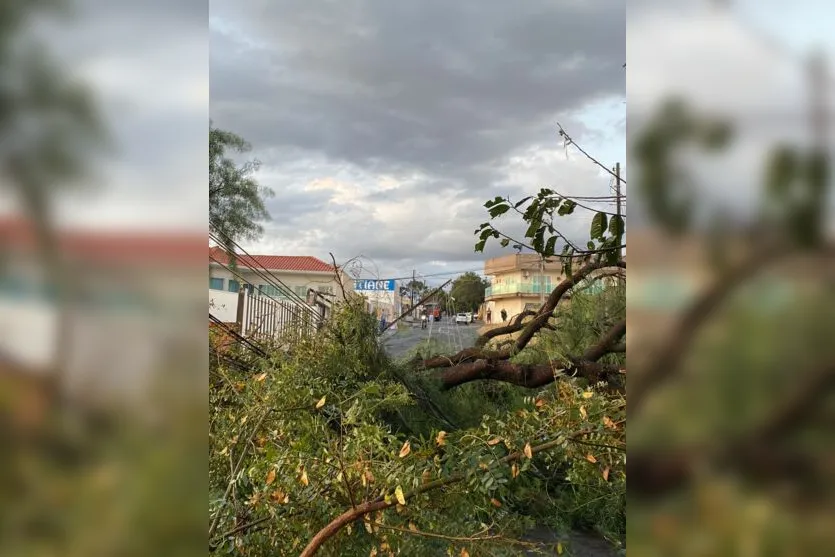 Chuva provoca destelhamentos e queda de árvores em Apucarana