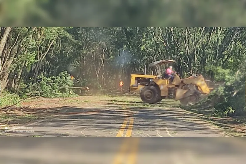 DER realiza corte de árvores entre Marilândia e Rio Bom