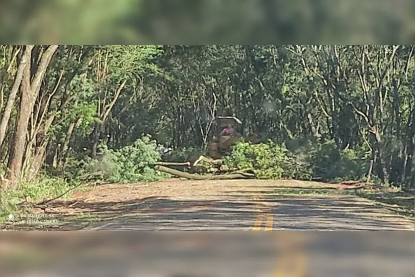 DER realiza corte de árvores entre Marilândia e Rio Bom