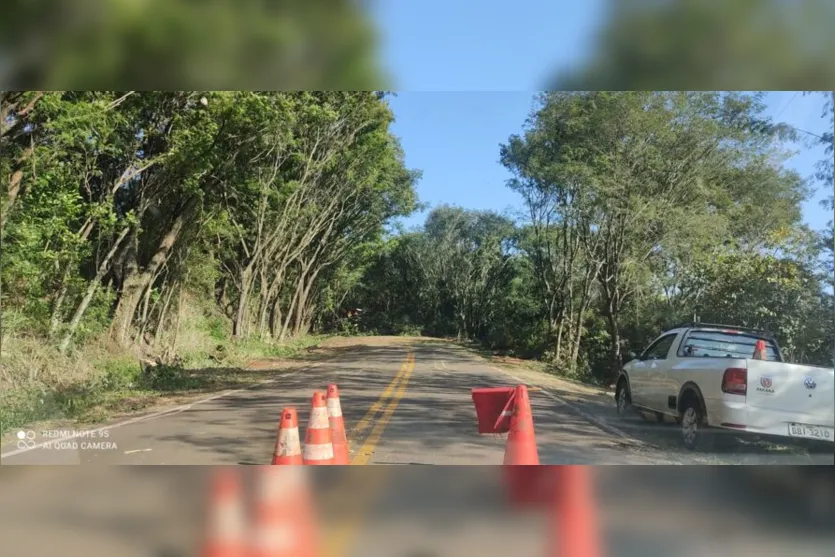 DER realiza corte de árvores entre Marilândia e Rio Bom