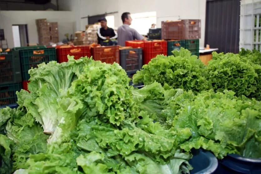 “Feira Verde” começa nesta quinta pelo Solo Sagrado