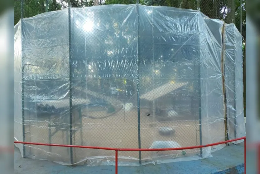 Frio: animais do canil e do bosque têm proteção extra