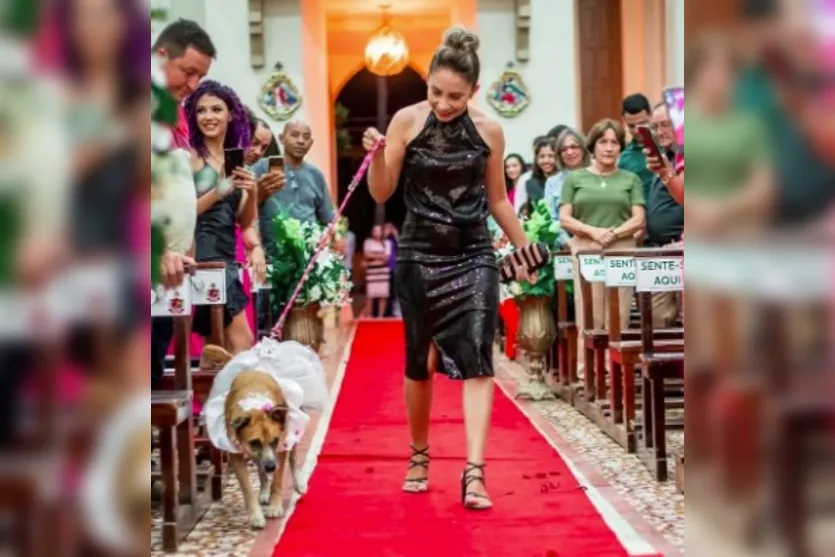 Padre encerra casamento após ver cães com alianças