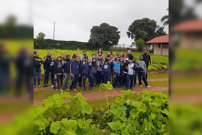 Projeto: Escolas Municipais visitam horta em Arapongas