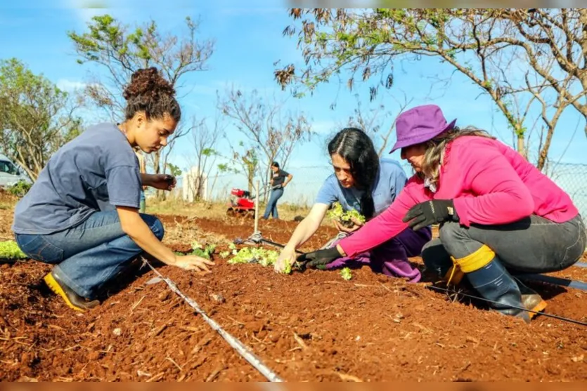  A área será cultivada por três famílias moradoras da região, que irão utilizar a produção para consumo próprio, comercialização e ainda doação 