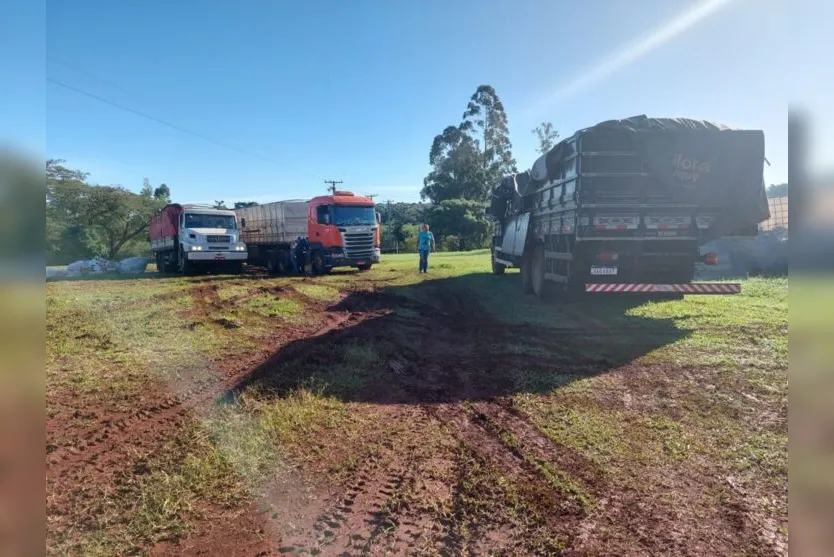 Apucarana faz o recolhimento de embalagens de agrodefensivos